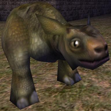 ORIGINAL Nali_cow.jpg