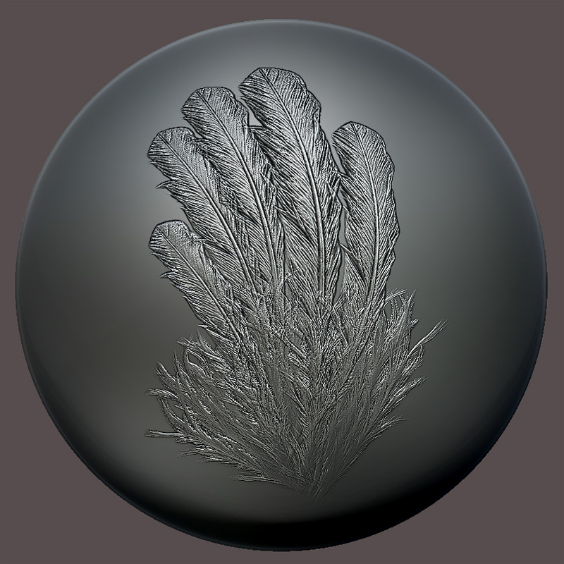 Feathers01.jpg