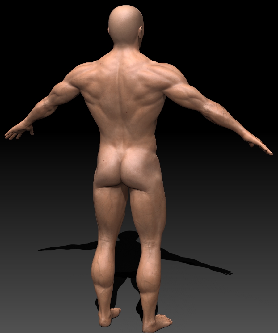 back.jpg