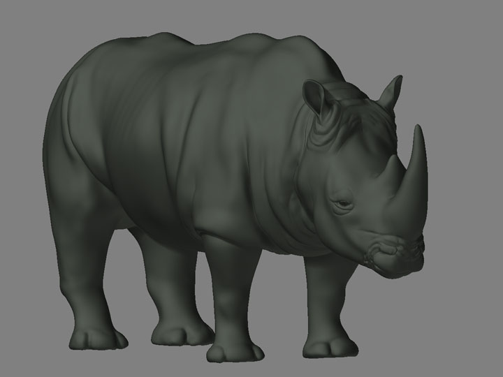 rhino03.jpg