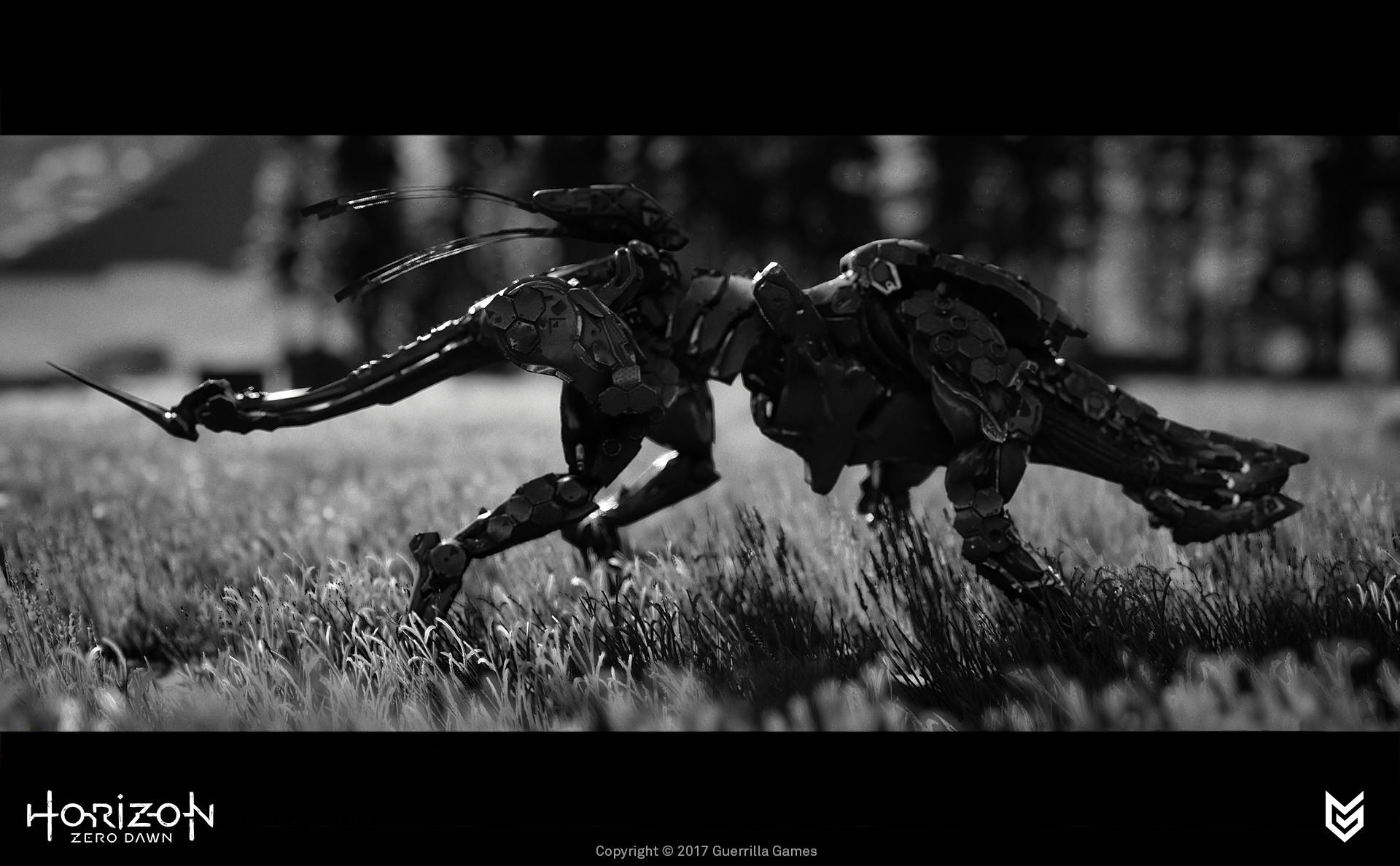 nazz-abdoel-stalker-3.jpg