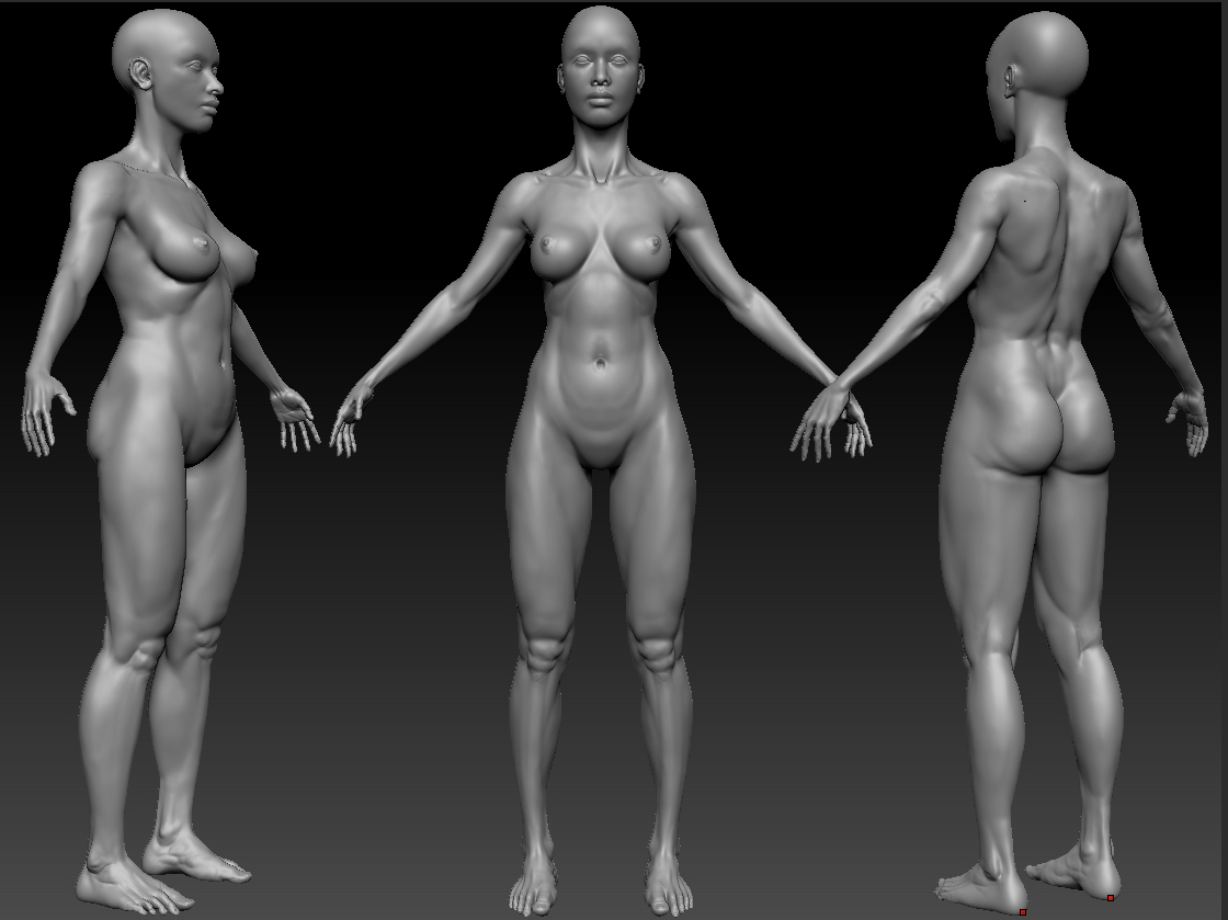 wip_3.jpg