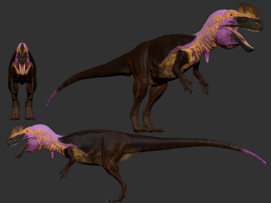 guanlong8.jpg