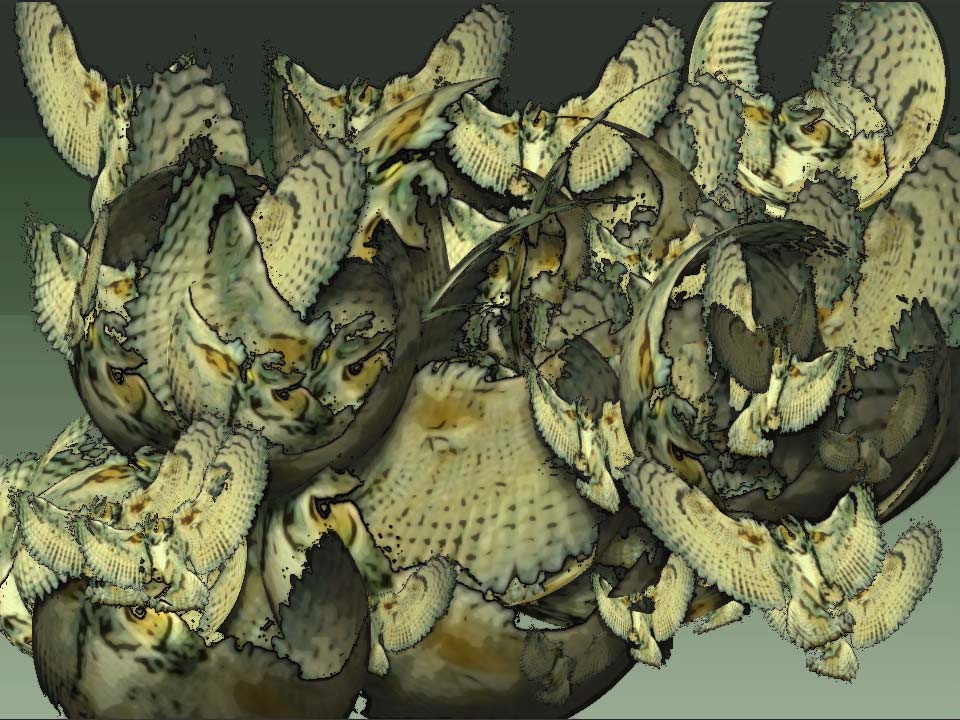 Owl_pile_1web.jpg