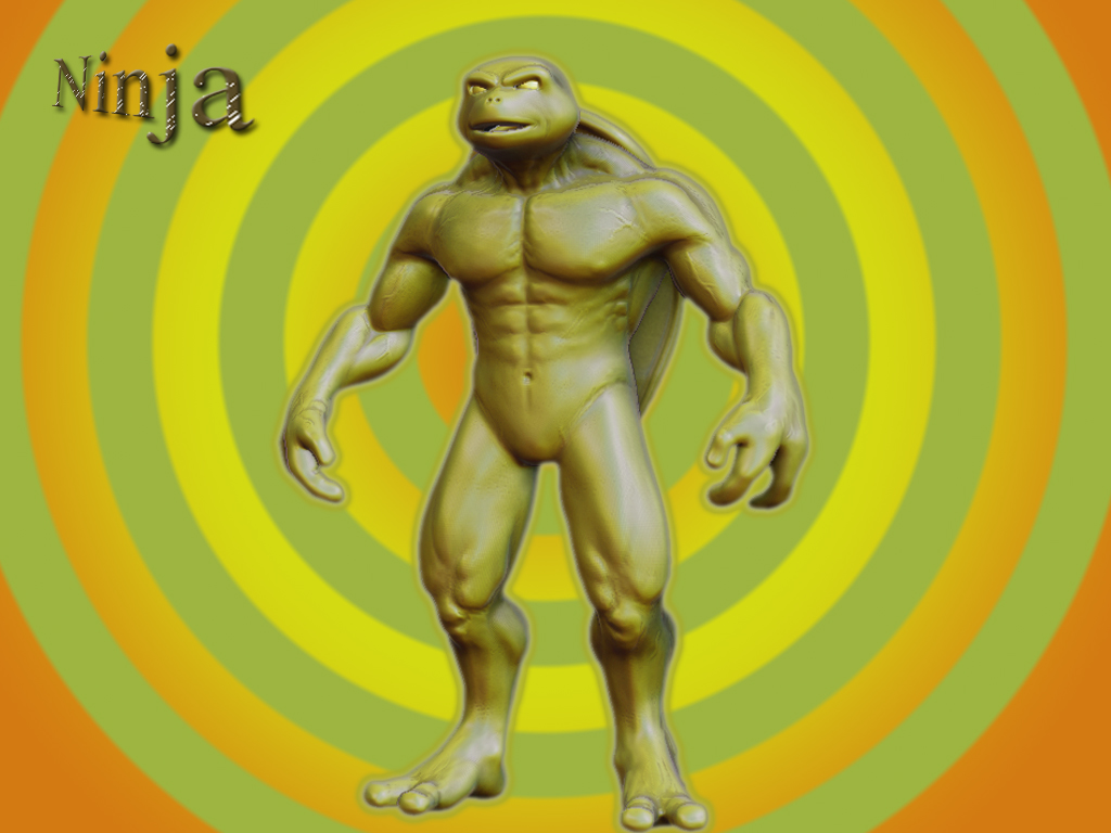ninja.jpg