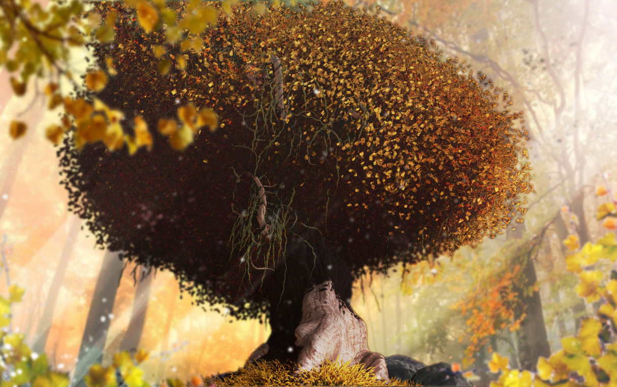 arbre.jpg