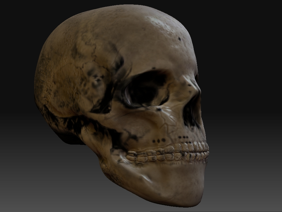 Skull.jpg