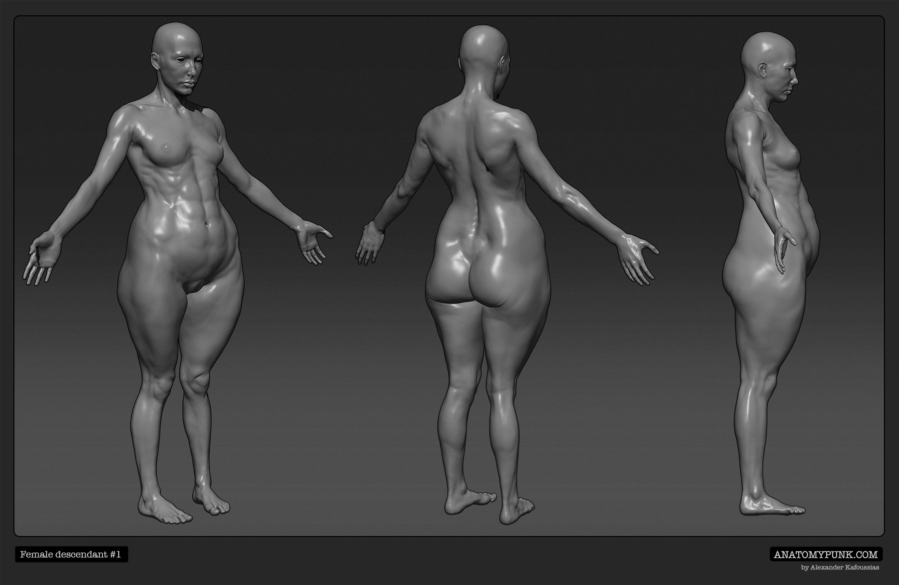 FemaleDescendant1_spin_Anatomypunk.jpeg