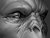 thumb.jpg
