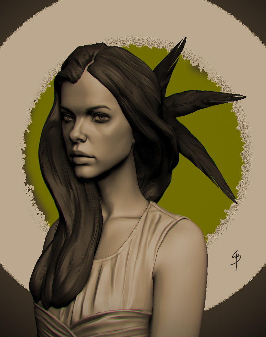 branduarte-palvin.jpg