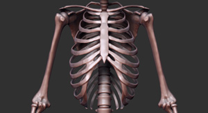 Skeleton_Big_thumb.jpg