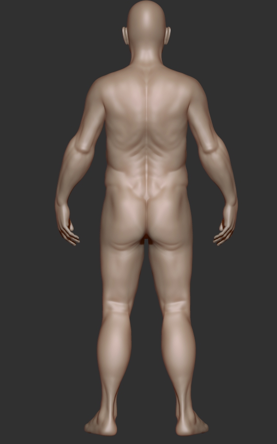 oldmanstudy_back.jpg