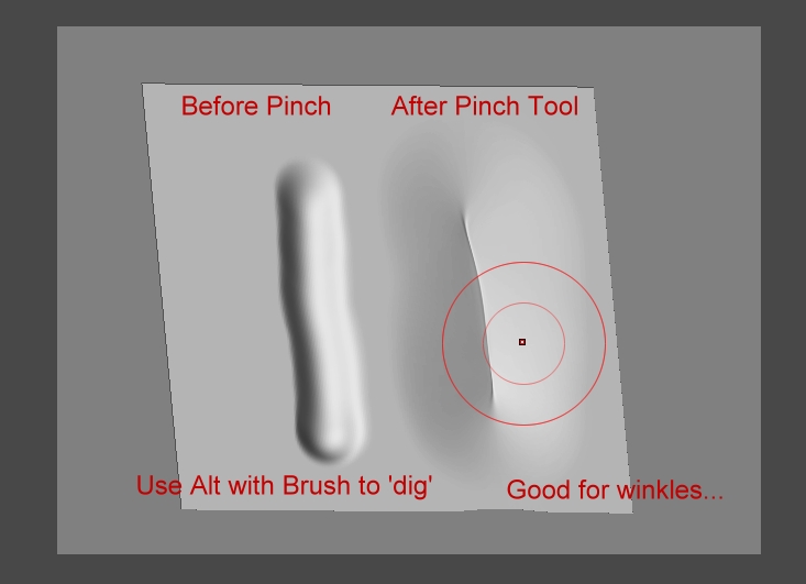 pinch1.jpg