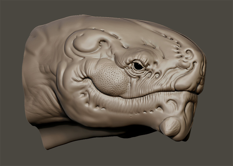 hippohead1.jpg