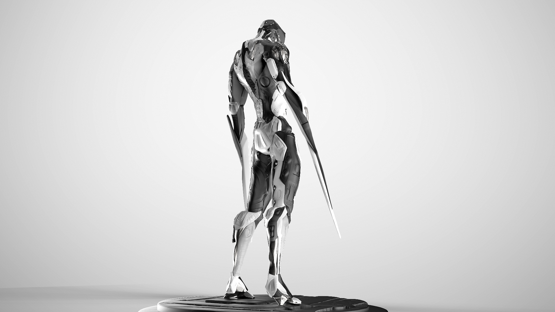 a2.jpg