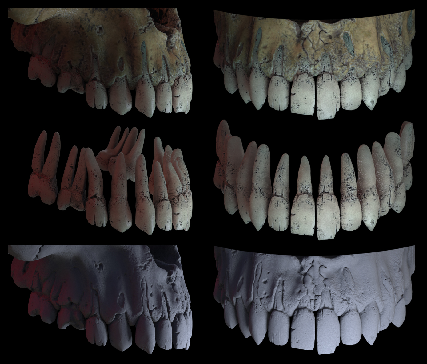 Teeth_Compilation_v01.jpg