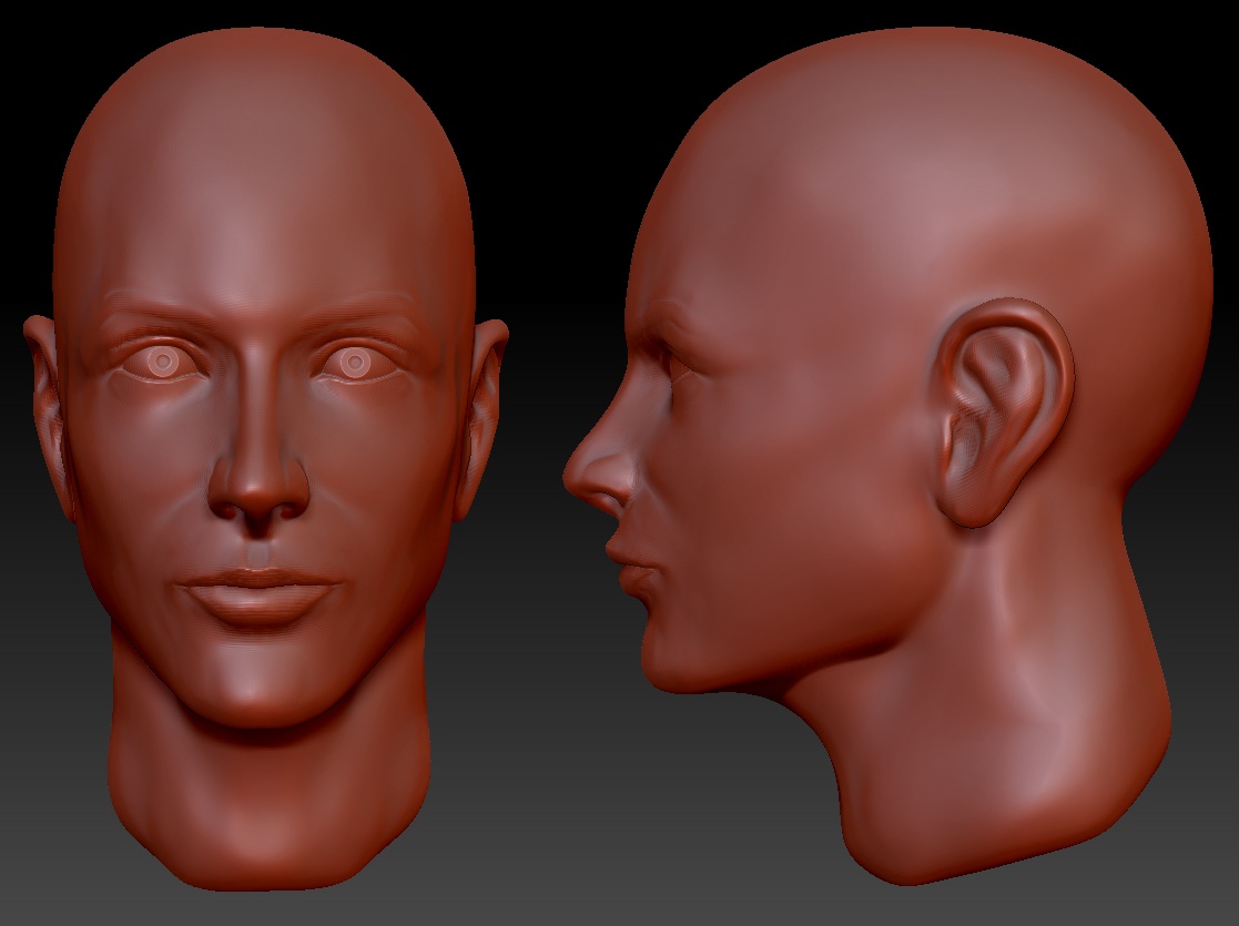 Head_03_05.jpg