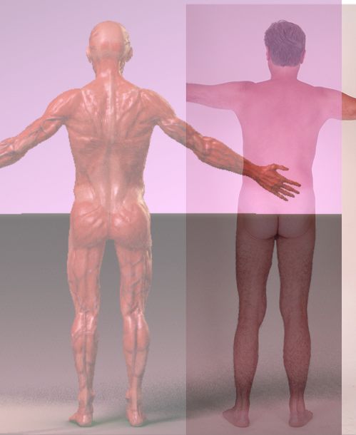 legs.jpg