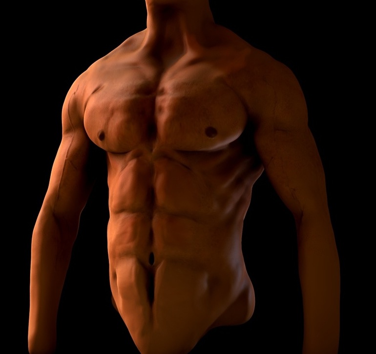 muscle2.jpg