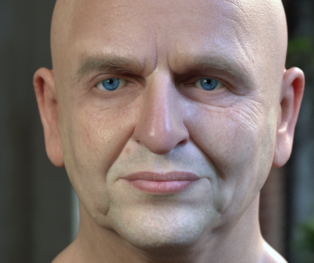 wip1_50auto.jpg