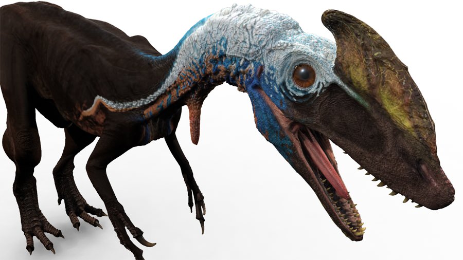 guanlong1.jpg