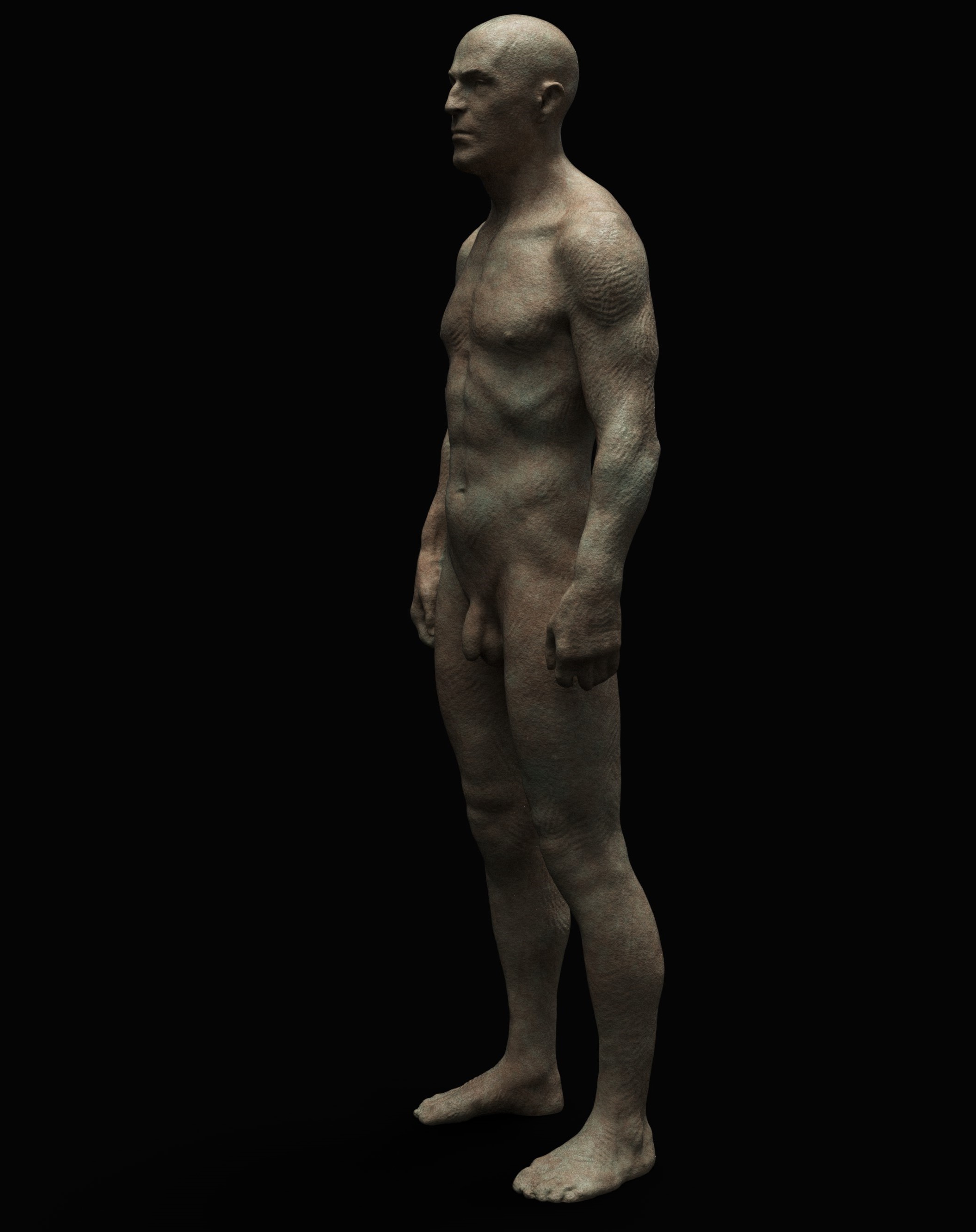 Anatomy3.jpg