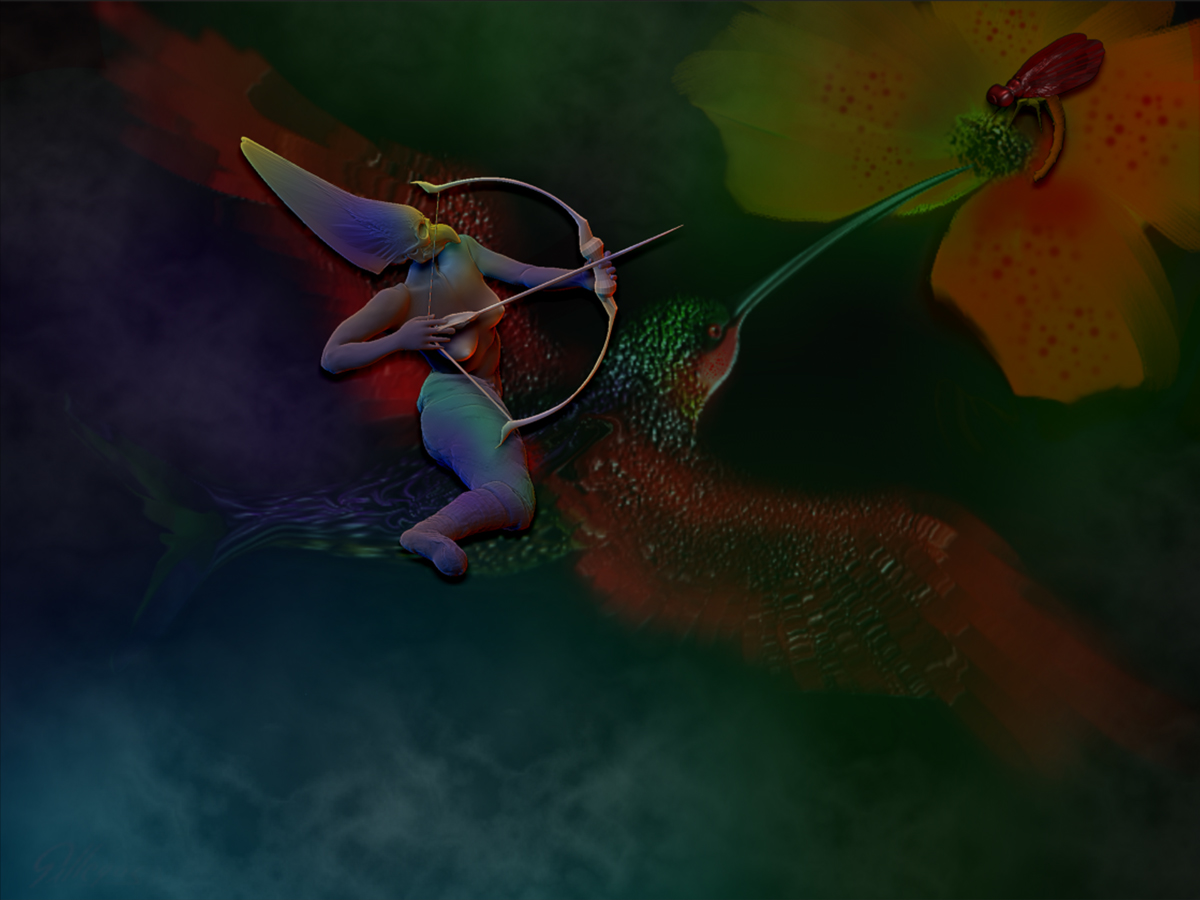 HUMMING BIRD 25.jpg