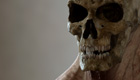 skelTexIco.jpg