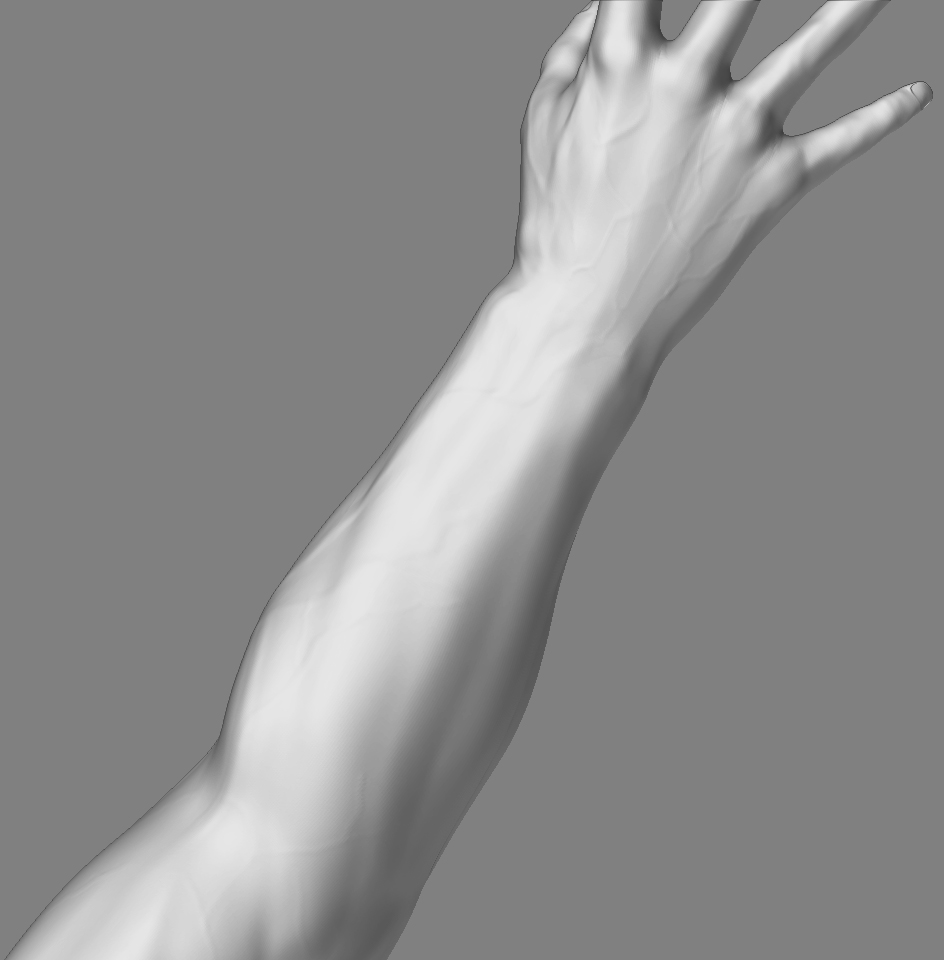 MaleCharacterHandTop_02.jpg