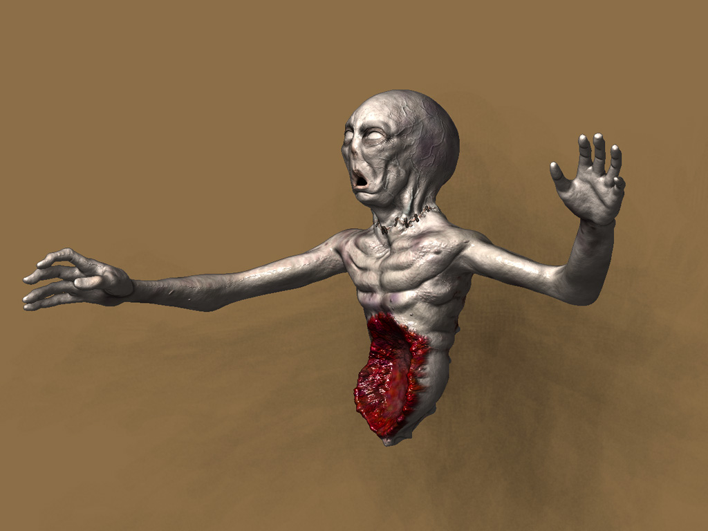 head_body_rob.jpg