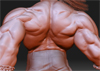 pitt_thumb.jpg