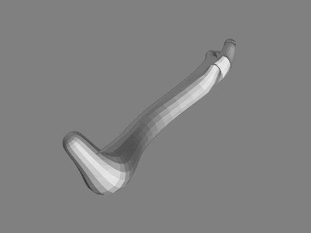 arm.jpg