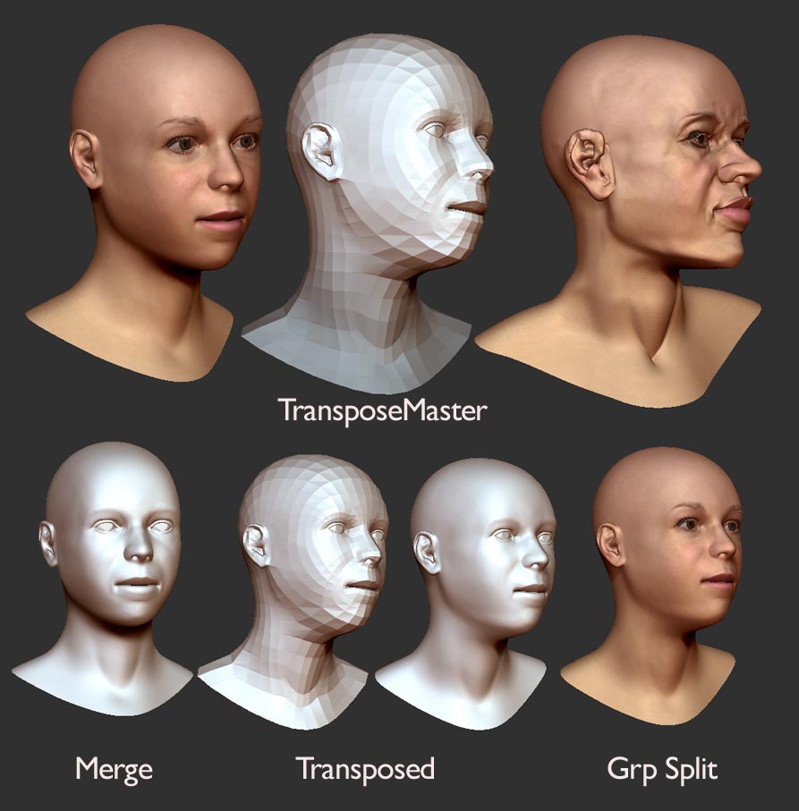 Transpose2.jpg