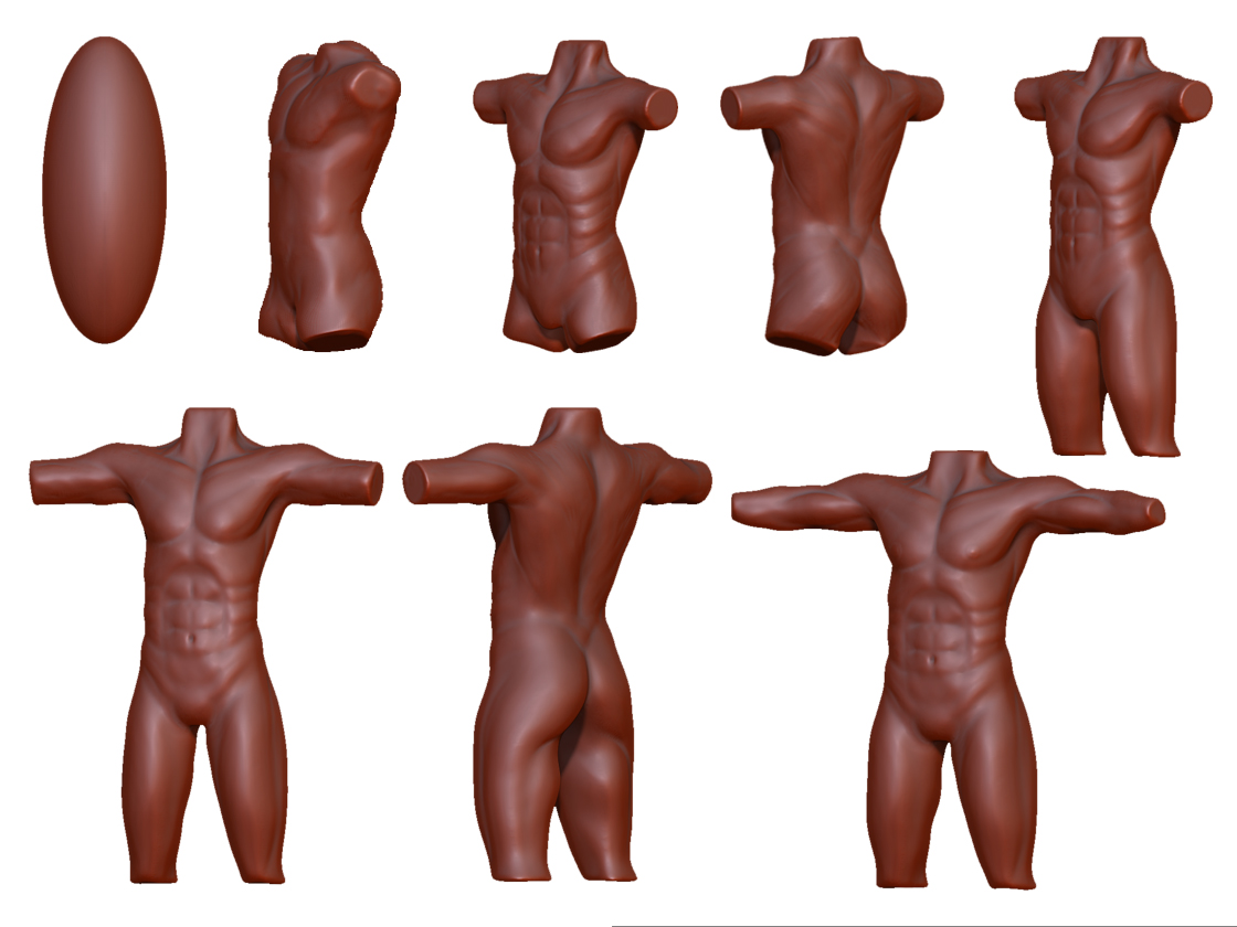 AnatomySteps.jpg
