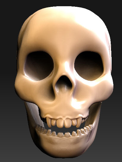 skullf.jpg