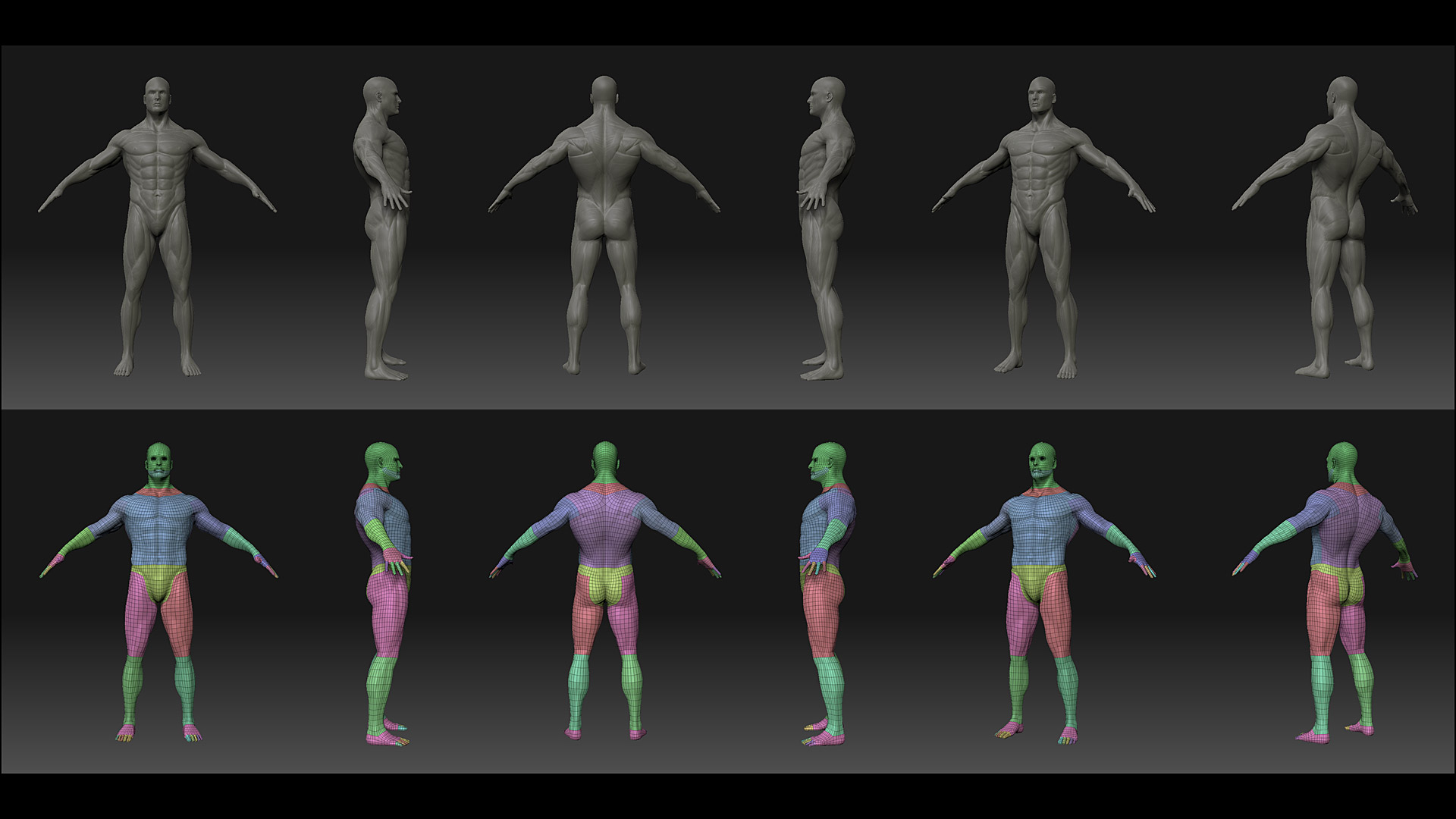 AthleticMale_WIP_1920_1080.jpg