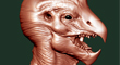 birdman_thumb.jpg