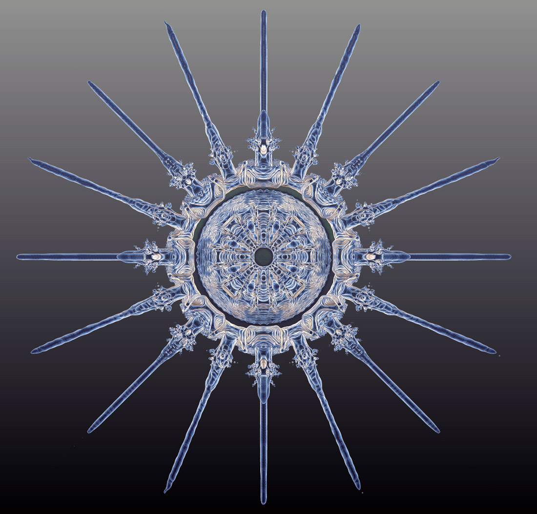snowflake2.jpg