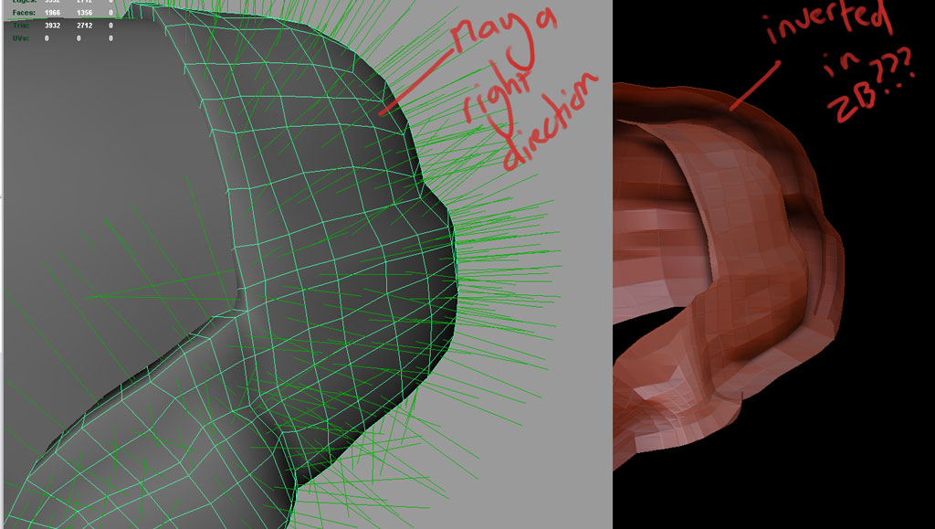 invertedNormals.jpg