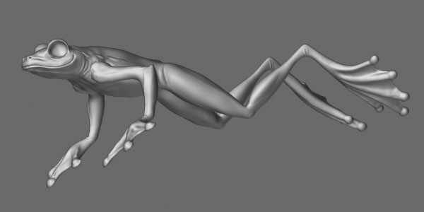 Frog2.jpg