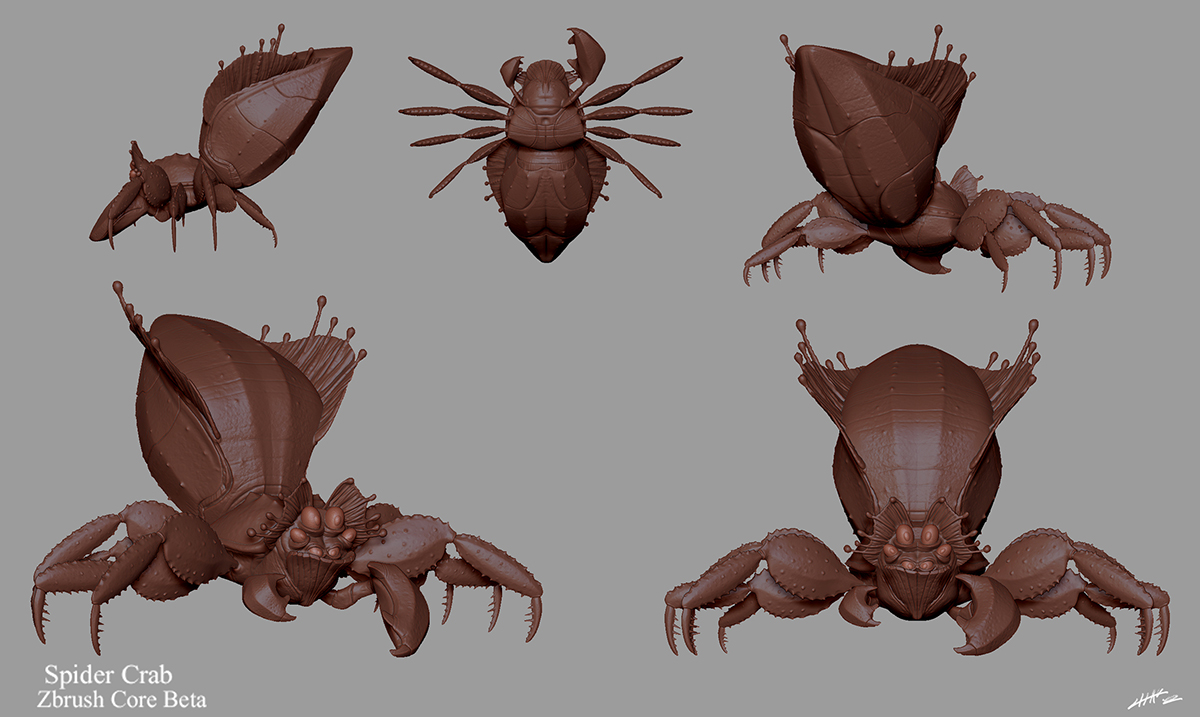 crab spider zbrush orthos.jpg
