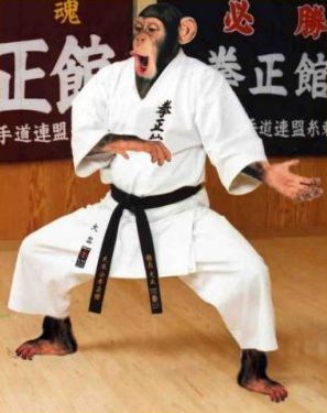 Kung Fu Chimp.jpg