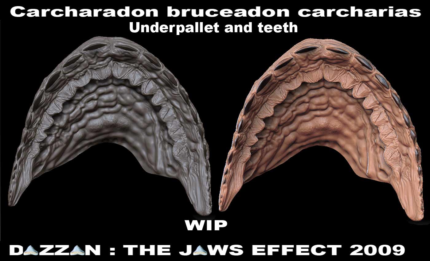 UpperJawsplusteethFINALundrpallet.jpg