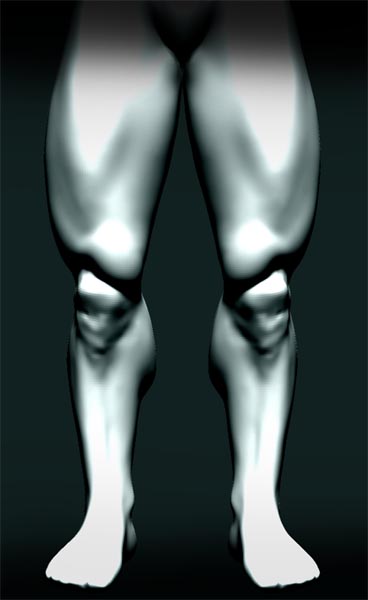 legs.jpg