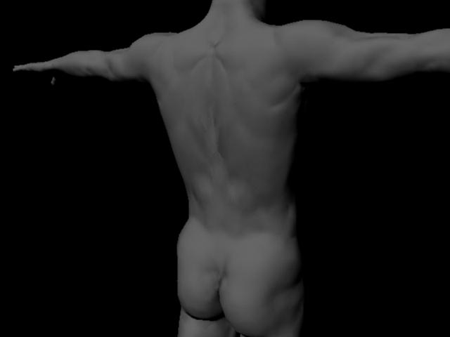 testnoseams.jpg