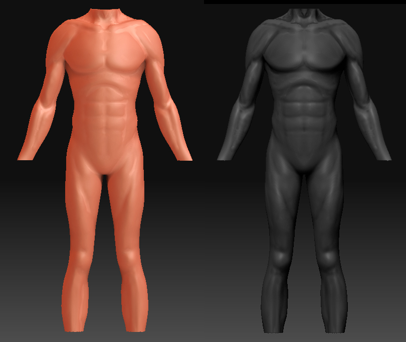 anatomy2.jpg