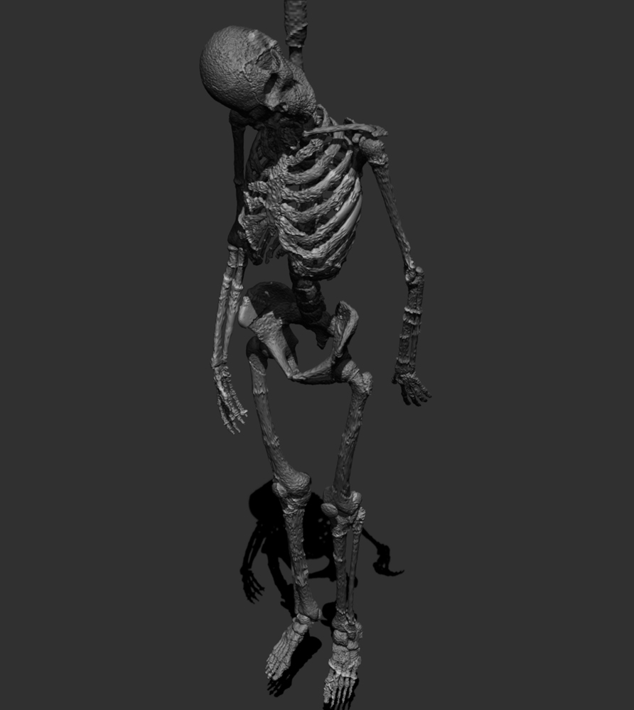 HANGING-SKELETON-1.jpg