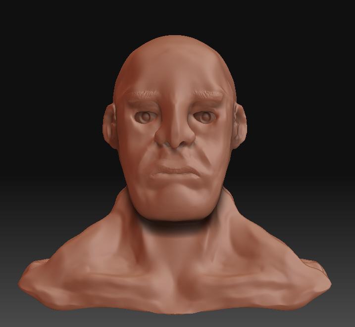 Bust8Front.jpg