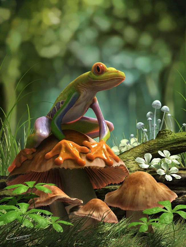 FrogFinal1.jpg