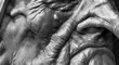 thumb.jpg